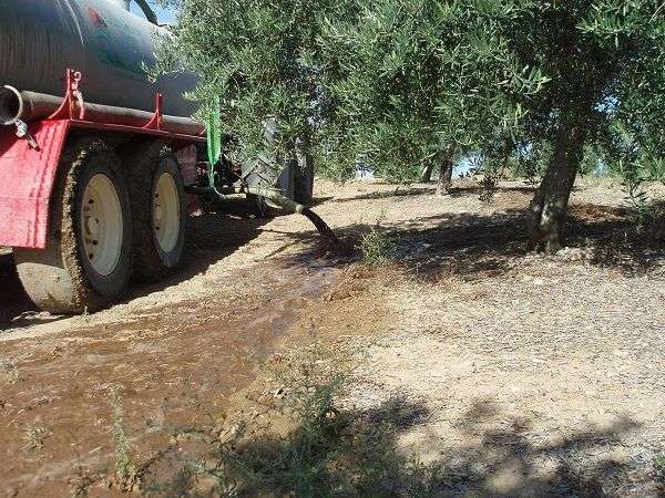 Kontrolle von flüssigen Rückständen aus Ölmühlen durch die Verwendung auf Olivenfarmen