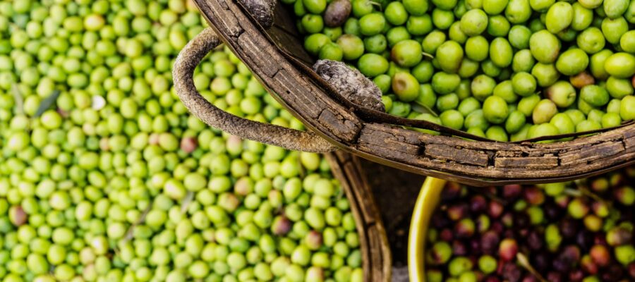 Spanische Olivenölsorten im Überblick